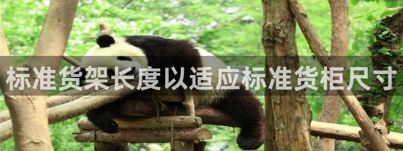 杏运注册