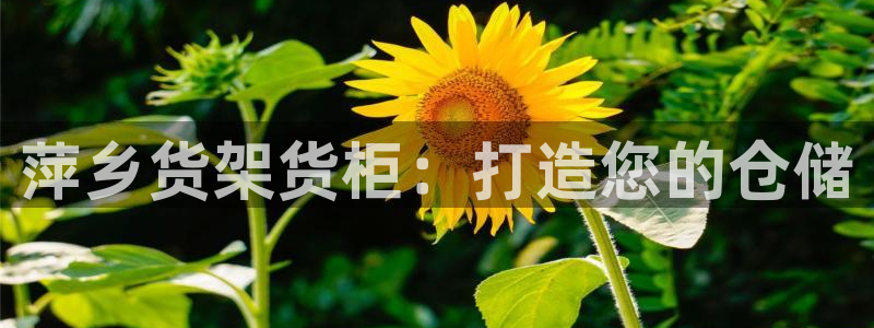 杏运娱乐官网