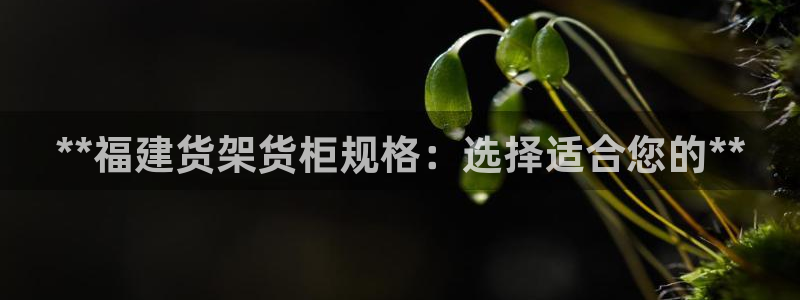 杏运平台注册登录