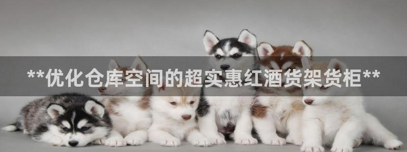 杏运汽车招商