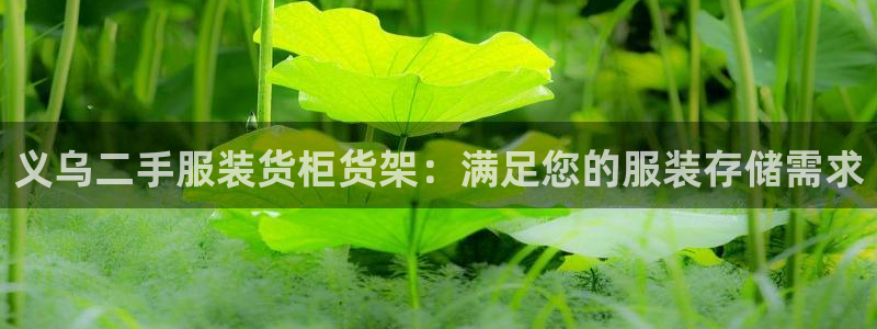 杏运平台官网