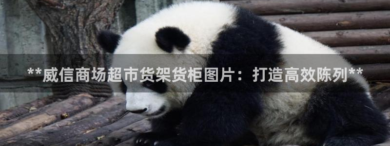 杏运体育