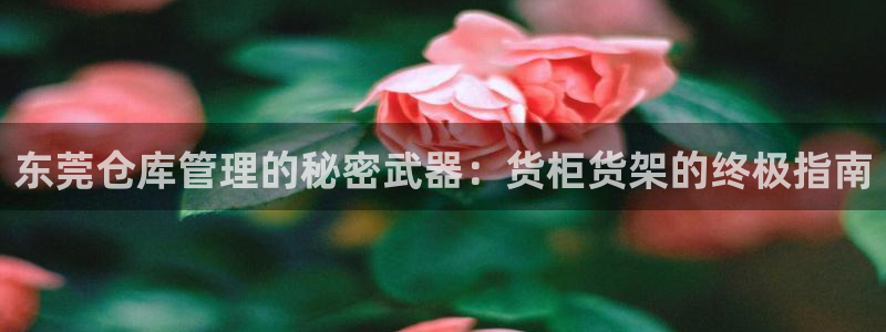 杏运注册账号