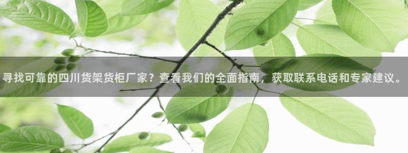 杏运体育登录