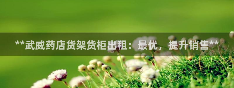 杏运代理