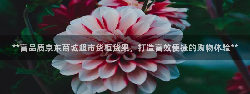 杏运注册
