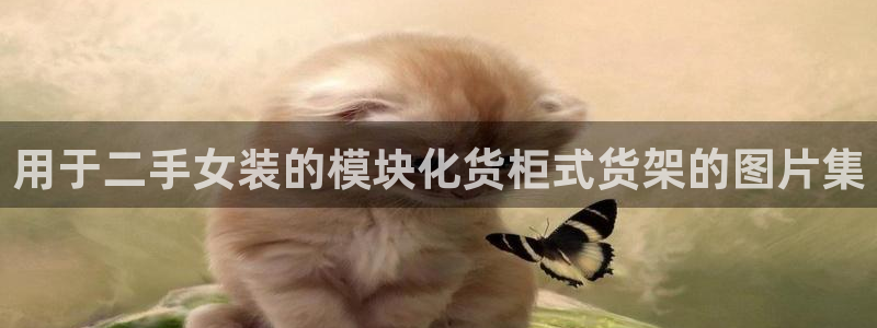 杏运娱乐平台注册地址在哪里