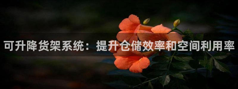杏运体育网