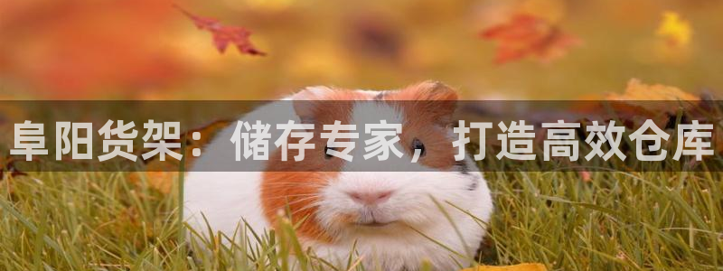杏运平台注册