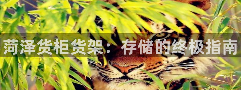 杏运登录
