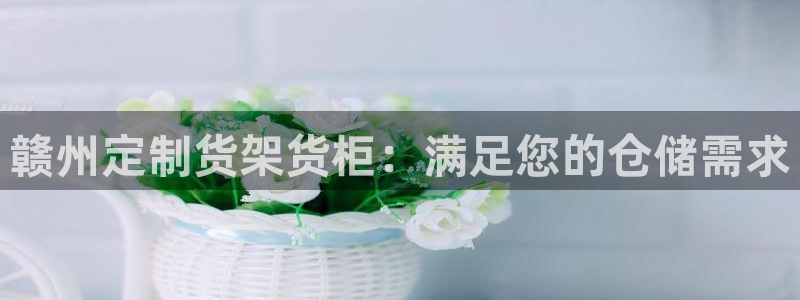 杏运汽车招商