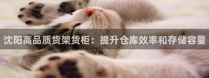 杏运注册登录