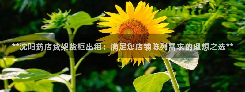 杏运登录