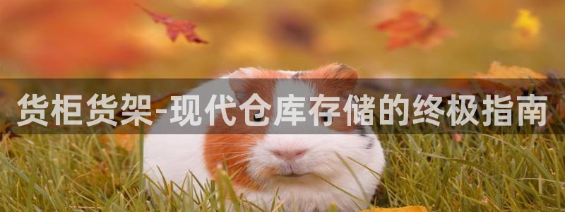 杏运平台登陆
