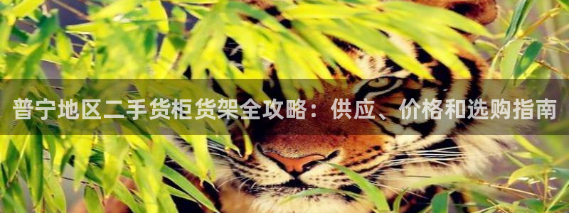 杏运平台代理