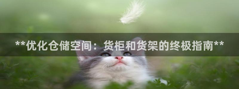 杏运汽车
