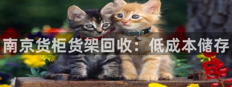 杏运平台登陆