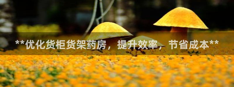 杏运体育注册