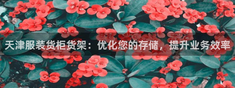 杏运体育网