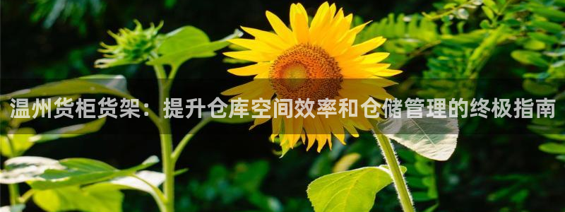 杏运平台代理