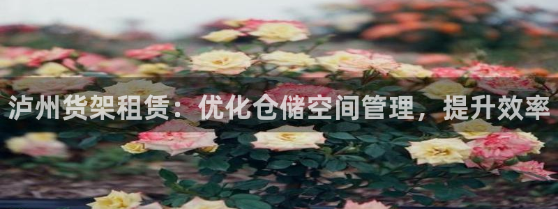 杏运娱乐平台注册地址在哪里