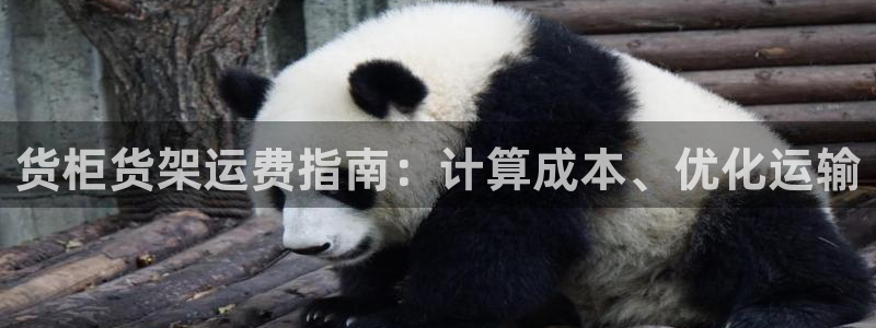 杏运体育