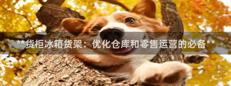 杏运体育怎么样