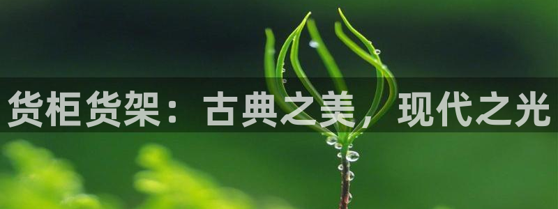 杏运体育