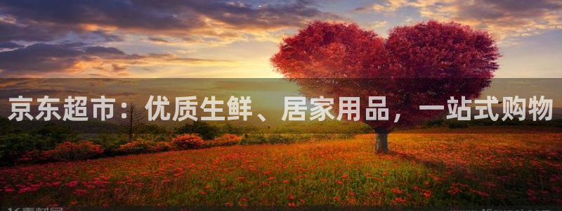 杏运体育官方网址