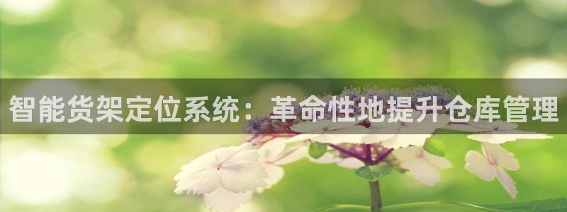 杏运平台官方网站