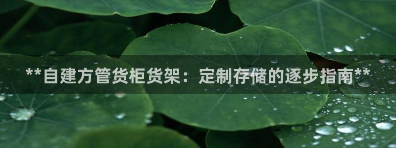 杏运汽车招商