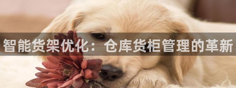 杏运体育官网
