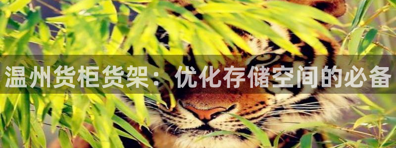 杏运平台官方网站