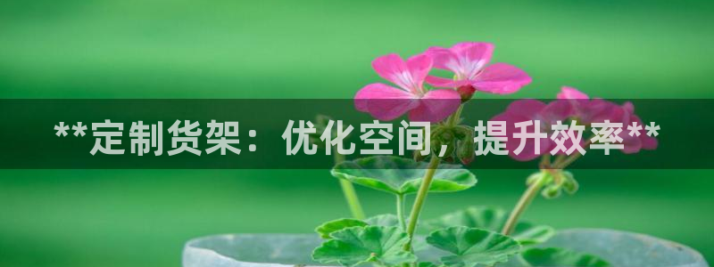 杏运平台官方网站