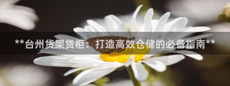 杏运体育官方网址登录