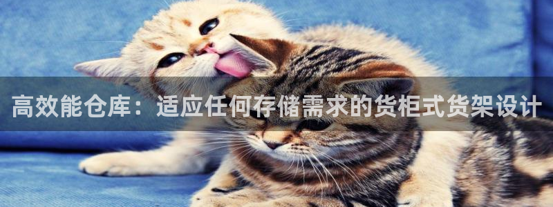 杏运体育平台正规吗安全吗