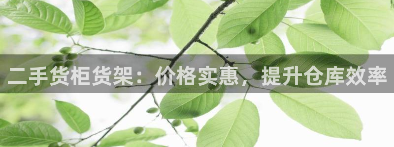杏运体育网
