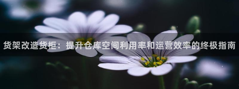 杏运体育注册
