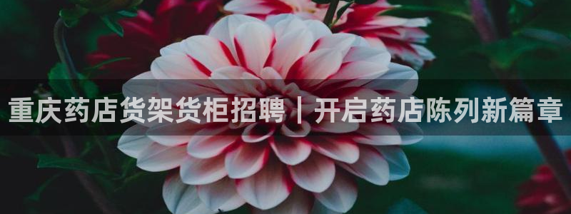 杏运平台注册