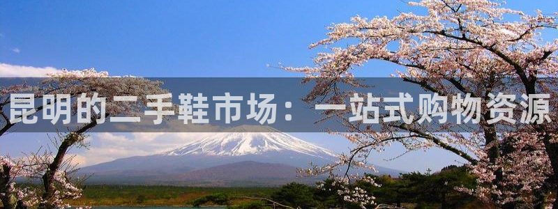 杏运体育注册