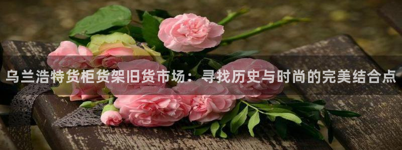 杏运代理