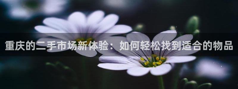 杏运相伴