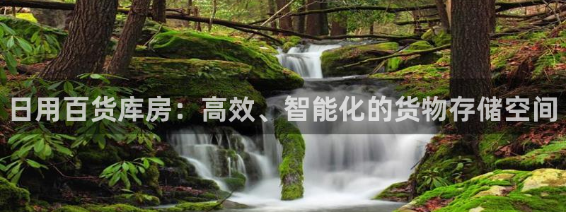 杏运体育app