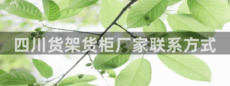 杏运代理：四川货架货柜厂家联系方式