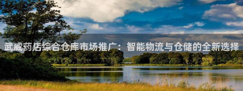 杏运代理：武威药店综合仓库市场推广：智能
