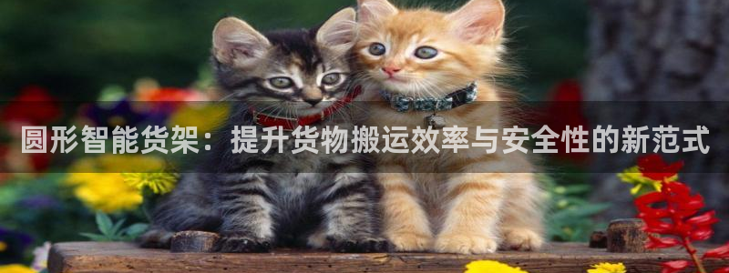 杏运体育注册