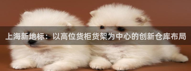 杏运注册登录：上海新地标：以高位货柜货架