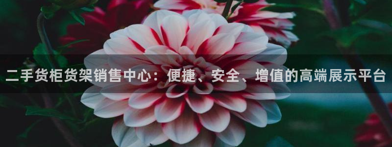 杏运平台官方网站