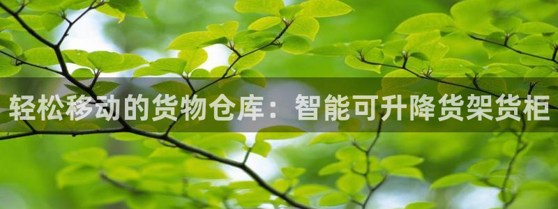 杏运注册账号：轻松移动的货物仓库：智能可
