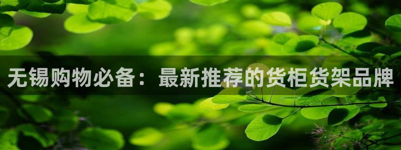 杏运注册登录地址